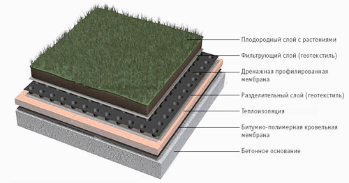 Инверсионная эксплуатируемая кровля, зеленая крыша